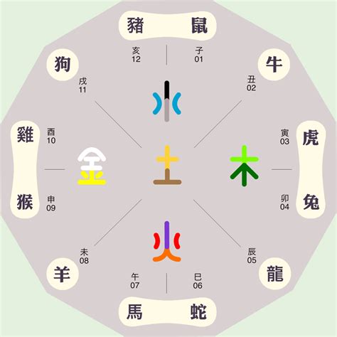 地支五行陰陽|八字基礎教學,陰陽,五行,干支,廿四節氣（20分鐘了解）